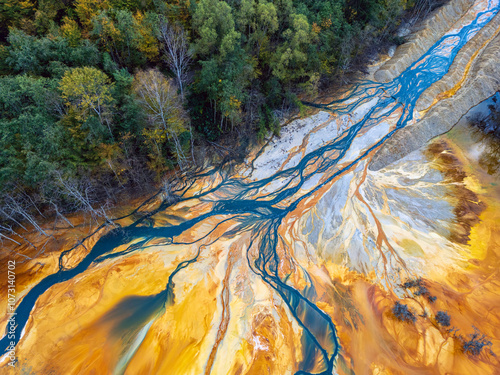 The environmental issue