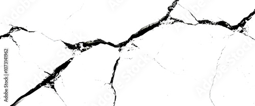 vector white and black cracked pattern texture on isolated pattern for abstract background.