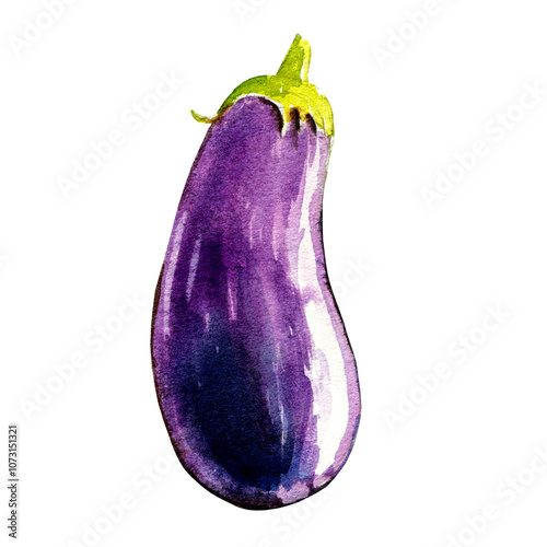 eggplant watercolor illustration on white background