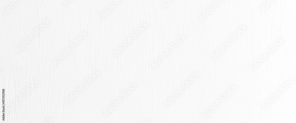 Fototapeta premium Vector white wall paint textured background.