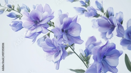 Delicate purple blossoms in soft focus against a gentle light background