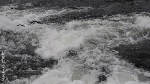 water flowing into the river