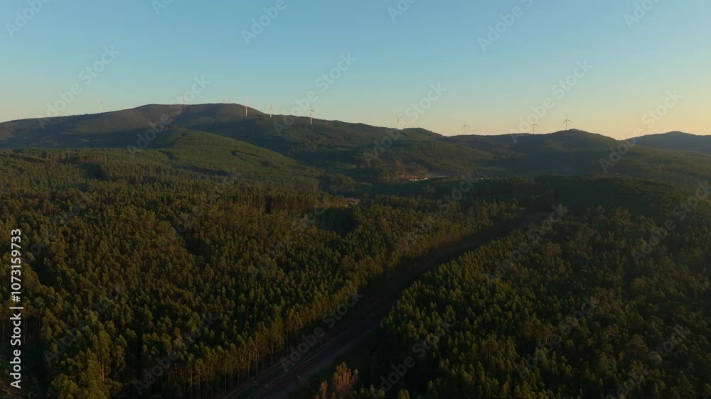 Road Between Lush Forests In Catoira, Spain - Aerial Drone Shot Road Between Lush Forests In Catoira, Spain - Aerial Drone Shot
