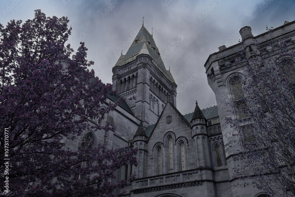 Fototapeta premium Manchester University