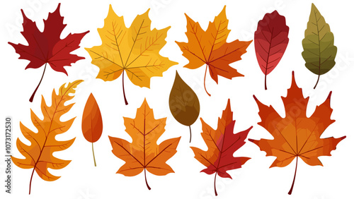 Autumn leaves or fall foliage icons. Vector isolated set of maple, oak or birch and rowan tree leaf. Falling poplar, beech or elm and aspen autumn leaves for seasonal holiday greeting card design