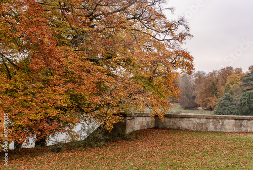 fall colors in the park