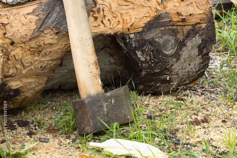 Fototapeta premium Cleaver ax for preparing firewood for the winter