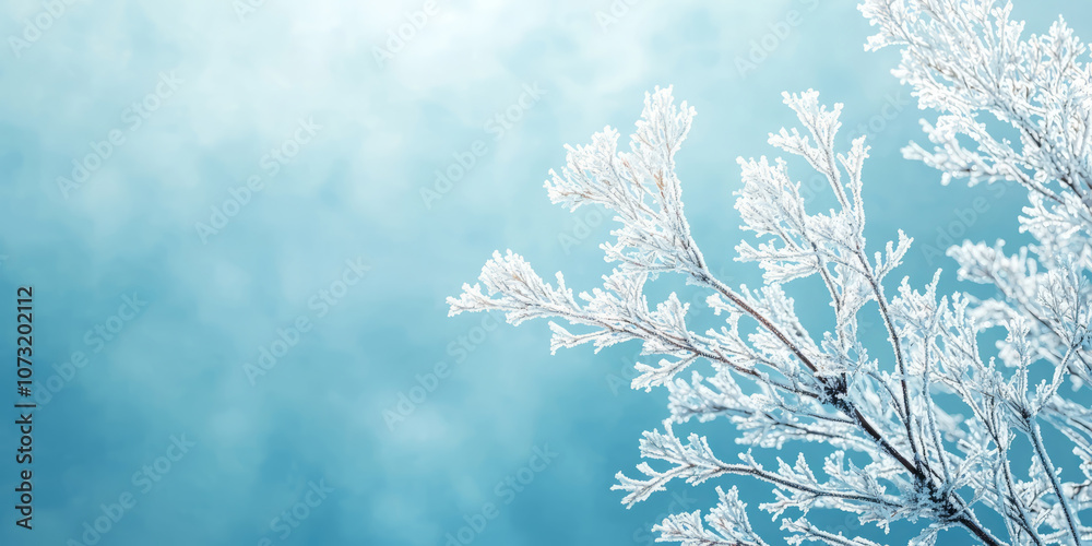 Bare, frosted branches with minimal white frost on a pastel blue background. Bare, frosted branches with minimal white frost on a pastel blue background.