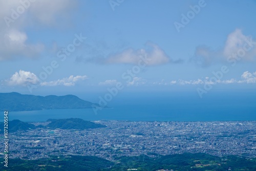 山から見渡す駿河湾