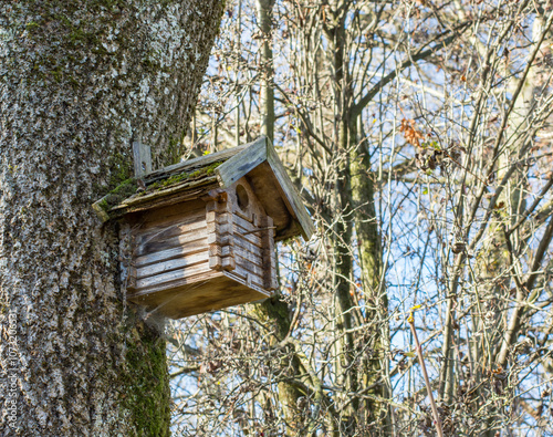 birdhouse on a tree