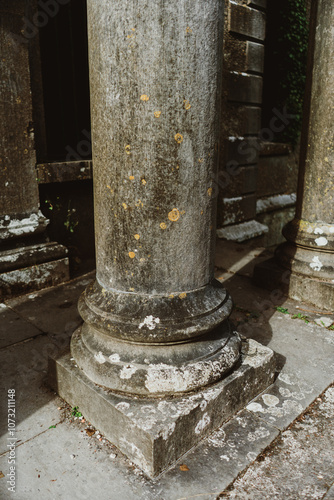 ruins in Ireland, Moore hall