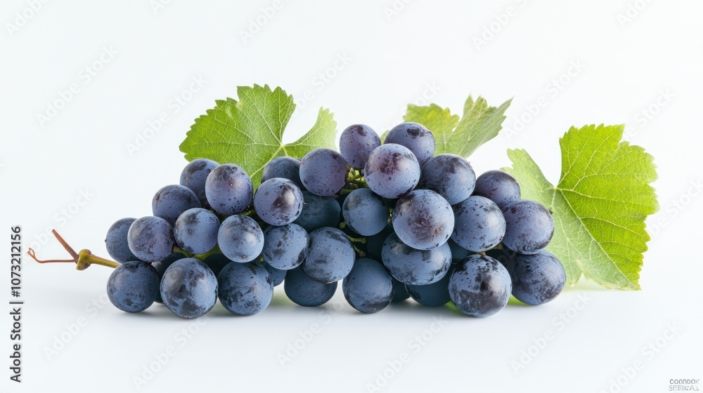A Close-Up Shot of a Bunch of Fresh Grapes A Close-Up Shot of a Bunch of Fresh Grapes
