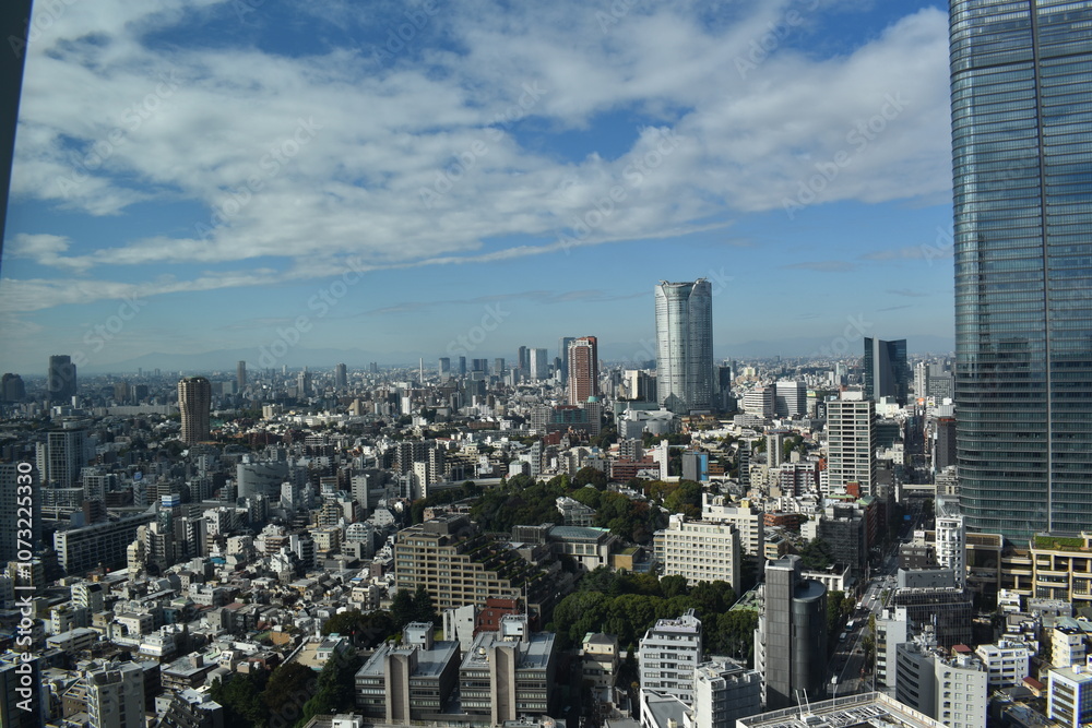 Fototapeta premium 東京都の風景