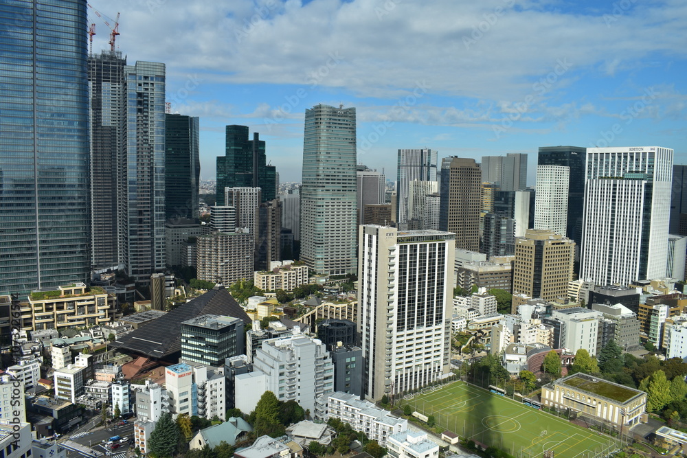 Obraz premium 東京都の風景