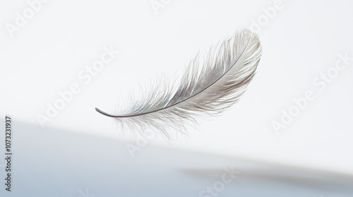 A close-up, photorealistic image of a single feather floating gracefully in mid-air.