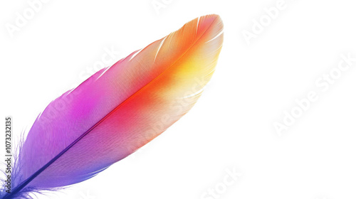 Animal feather transparent background