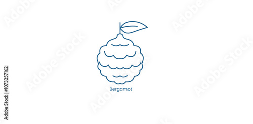 Vector Icon for Bergamot Fragrance