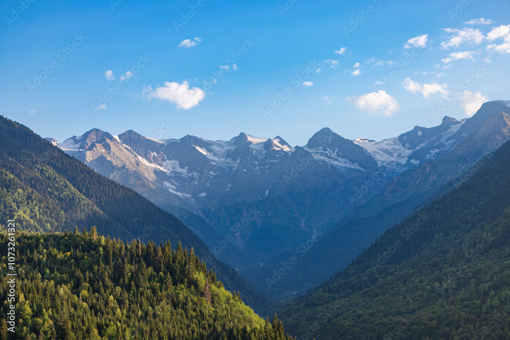 Beautiful Svaneti landscape with forest and mountains near Mestia in Summer. Upper Svaneti region, Georgia.