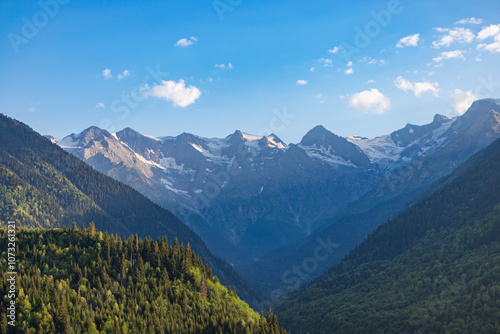 Obraz na płótnie Beautiful Svaneti landscape with forest and mountains near Mestia in Summer. Upper Svaneti region, Georgia. w salonie