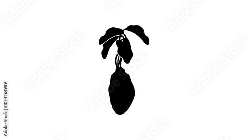 Taro emblem, black isolated silhouette