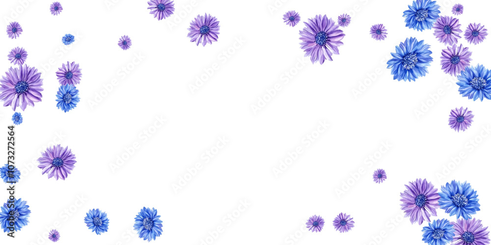 frame of flowers frame of flowers
