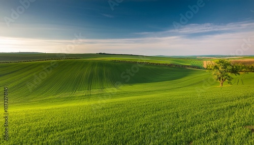 green field and sky