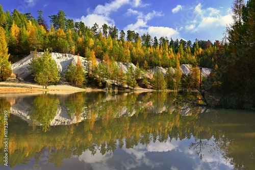 Beautiful colourful autumn landscape. Nature with forest and colourful trees in autumn. Concept for the season and the environment.