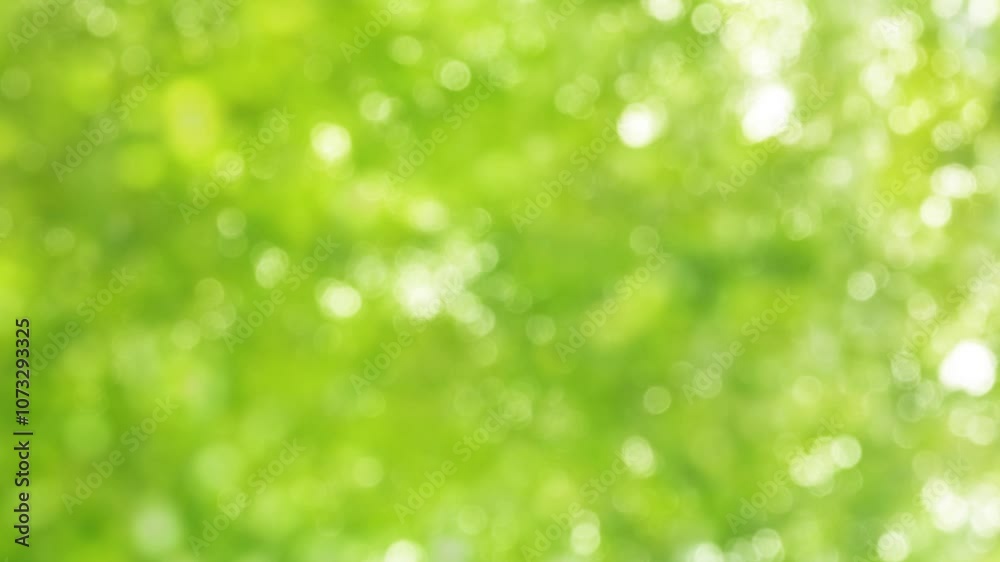 blurred springtime bokeh light background from real tree leaves, bright light green colored nature scene with copy space, texture template decoration