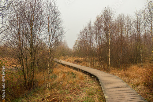 Ein nebliger Novembertag im Brackvenn