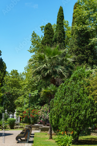 Lush topiary plants, palms and exotic trees are characteristic of streets and parks of Sochi and southern Russia. Fountain near the Festivalny concert hall. photo