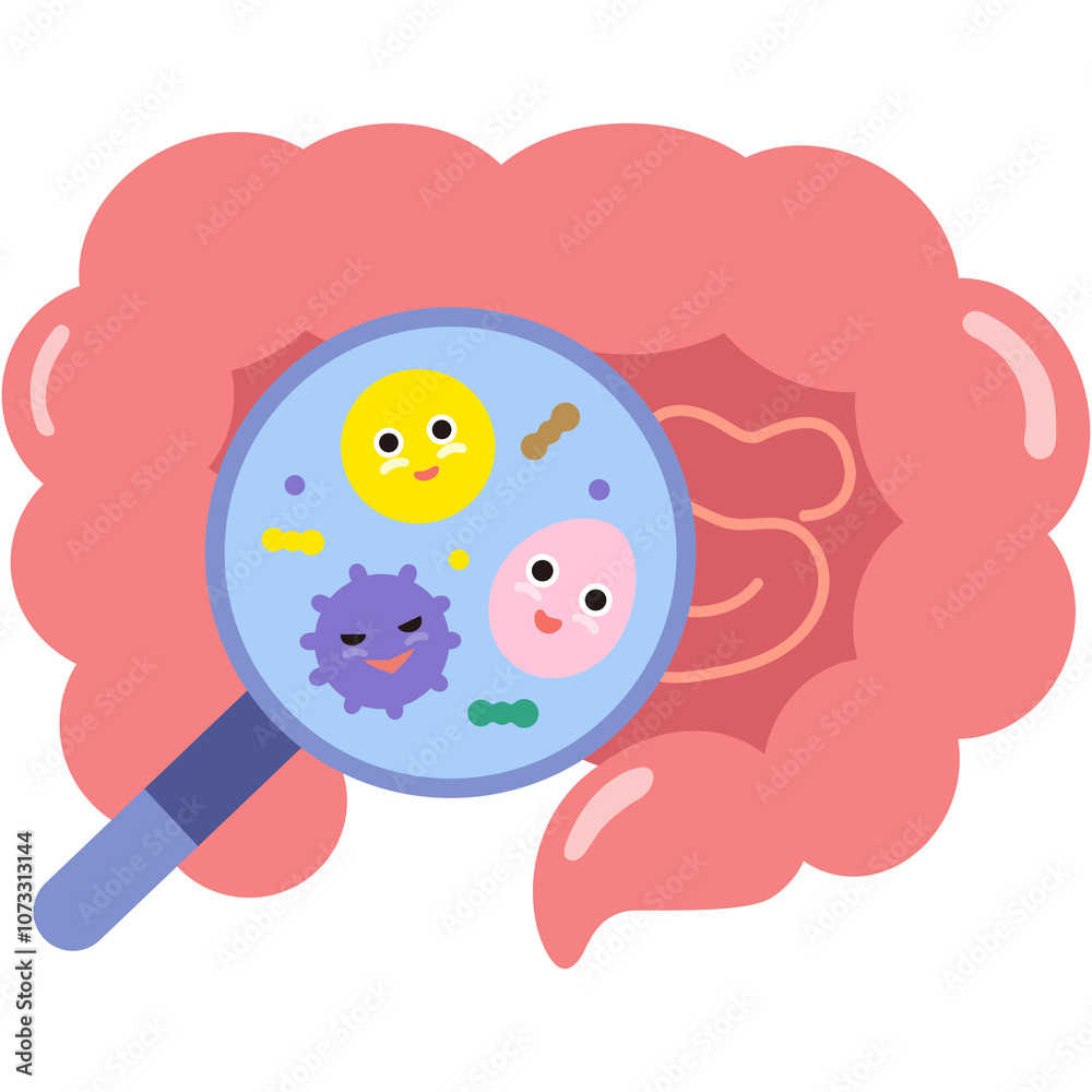 Using a magnifying glass to reveal probiotics in the gut. Using a magnifying glass to reveal probiotics in the gut.
