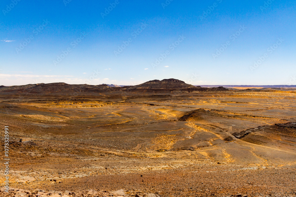  Black stoned desert. Volcanic black basalt terrain. Merzouga, Erg Chebbi, Morocco




