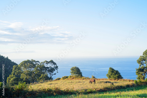 Caballo pastano en pradera distante junto al mar
