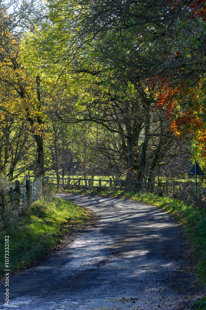 Northumberland country lane on a sunny autumnal day Northumberland country lane on a sunny autumnal day