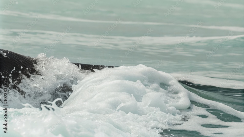 Powerful ocean waves crashing on rocks.