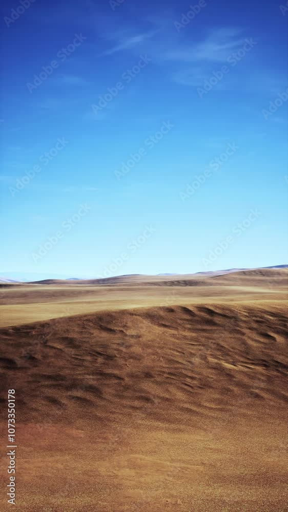 A large field stretches out under a clear blue sky in the background.