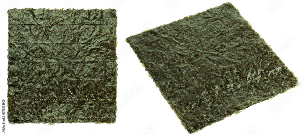 Fototapeta premium Nori leaf isolated on white background, full depth of field
