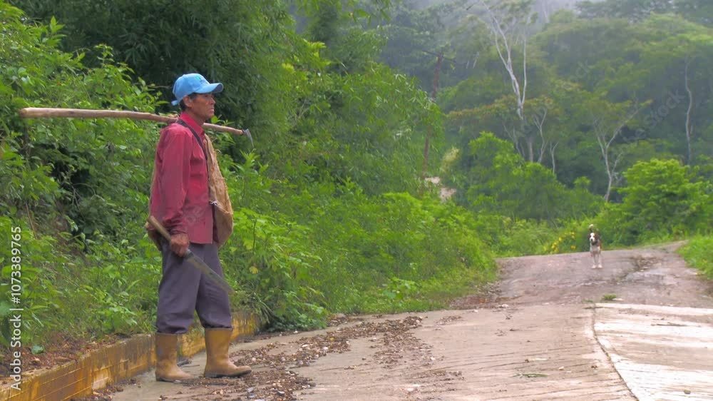 Traditional. Real scenes of a Venezuelan farmer practicing subsistence agriculture, a simple lifestyle deeply tied to nature. Climate change and global warming threaten these authentic livelihoods. Traditional. Real scenes of a Venezuelan farmer practicing subsistence agriculture, a simple lifestyle deeply tied to nature. Climate change and global warming threaten these authentic livelihoods.