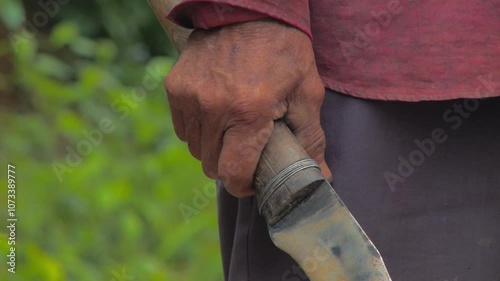 Traditional. Real scenes of a Venezuelan farmer practicing subsistence agriculture, a simple lifestyle deeply tied to nature. Climate change and global warming threaten these authentic livelihoods. 