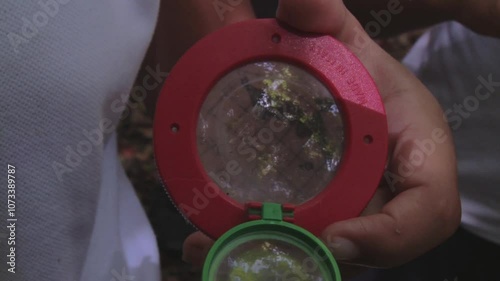 Environmental Education for Future Generations. Young students collect insects in magnifying containers, promoting awareness and respect for biodiversity from an early age.