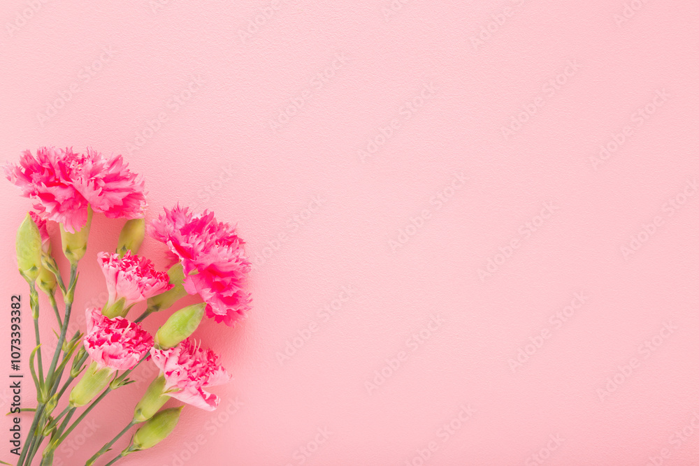 Beautiful fresh pink carnation flowers bouquet on light pink table background. Pastel color. Closeup. Congratulation concept. Empty place for text, quote or sayings. Top down view. Beautiful fresh pink carnation flowers bouquet on light pink table background. Pastel color. Closeup. Congratulation concept. Empty place for text, quote or sayings. Top down view.