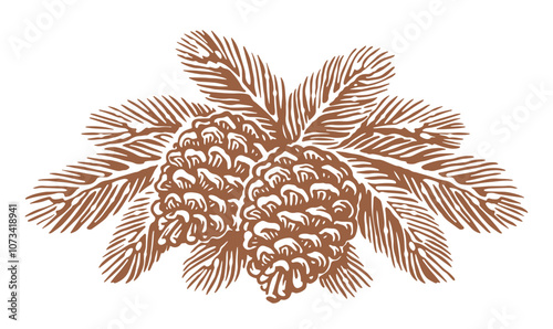 Pine tree spruce branch with cones sketch. Hand drawn vector drawing