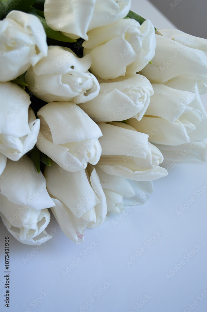 Bouquet of White Tulips on Table Bouquet of White Tulips on Table