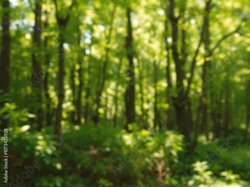 Blurred background of lush green forest with sunlight filtering through trees, green, foliage