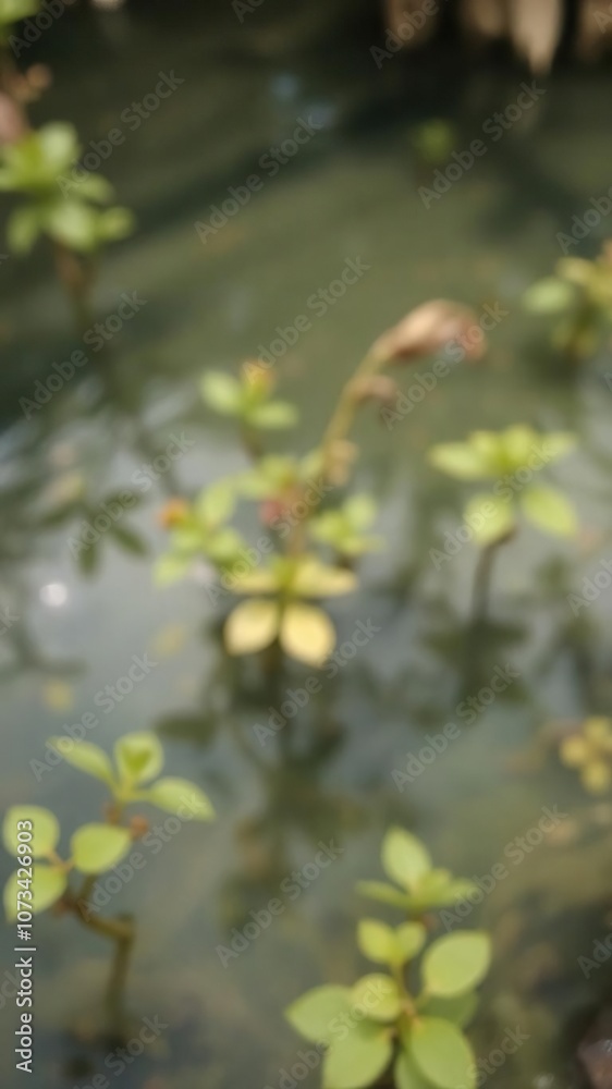 Blurred image of water and plants creating a serene natural background, soft focus, tranquil Blurred image of water and plants creating a serene natural background, soft focus, tranquil