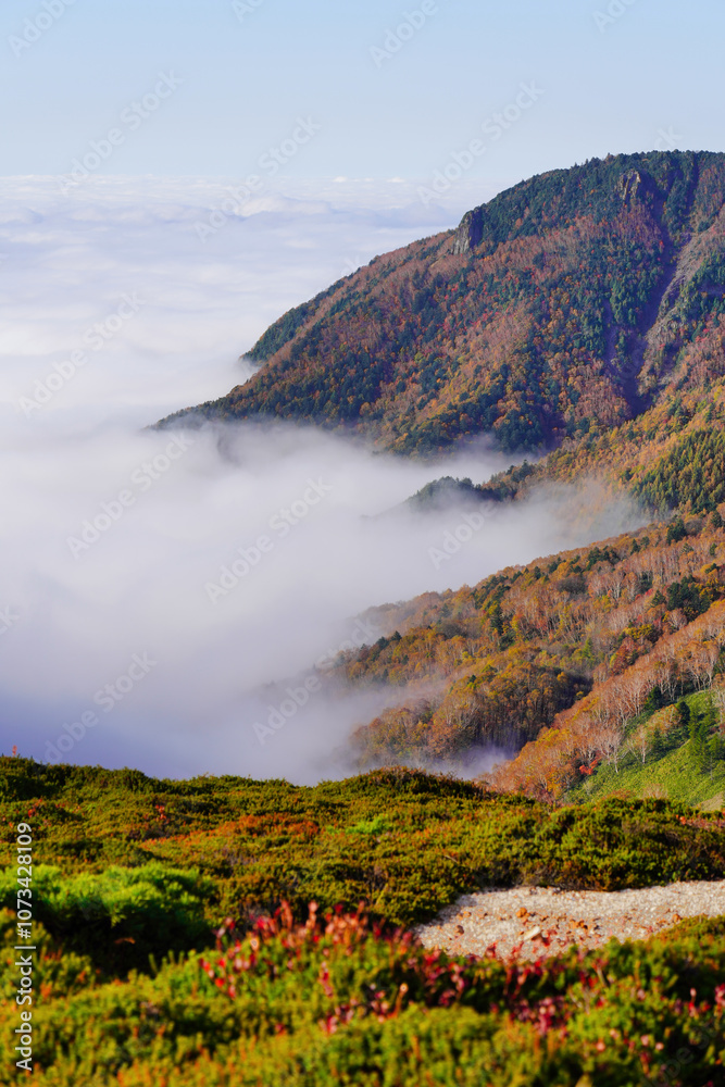 紅葉と雲海が織りなす日本の秋景色