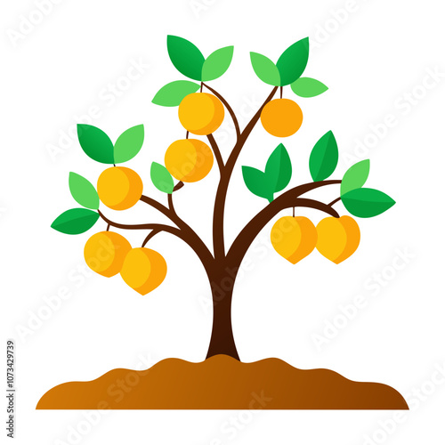 Apricot Tree Illustration in Color.