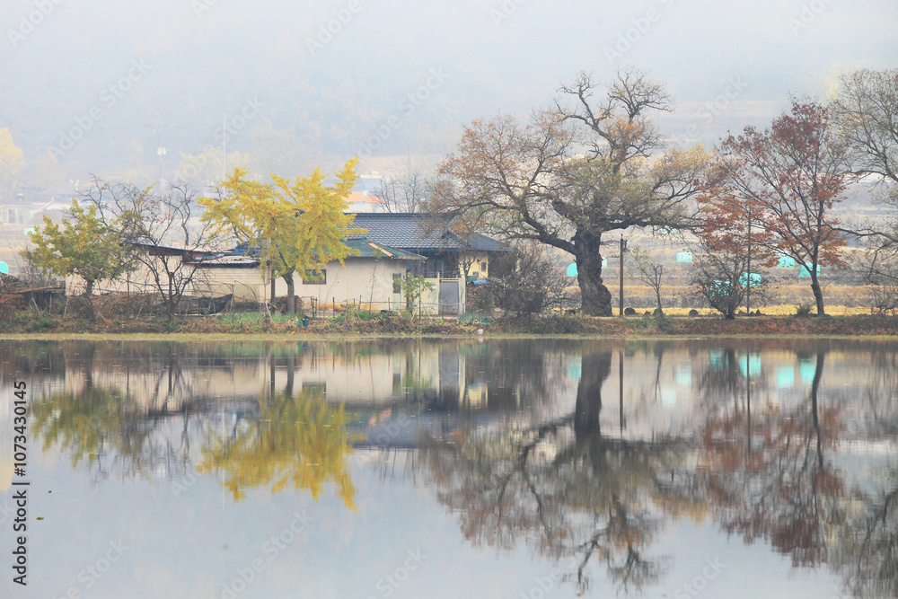 Fototapeta premium Autumn morning scenery of Wiyangji (pond) in Miryang, Gyeongsangnam-do, Korea