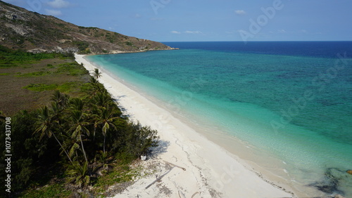 Coconut beach tropical dream paradise Lizard Island Australia Queensland