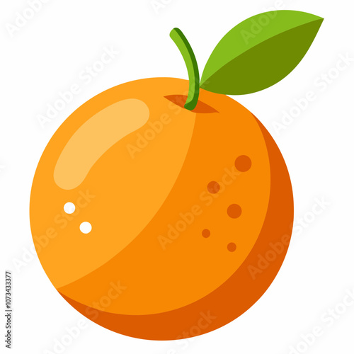 illustration of orange fruit